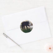 American Black Bear #1-1 Stickers (Umschlag)
