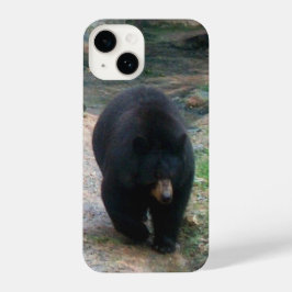 American Black Bear iPhone Case 14 Hülle