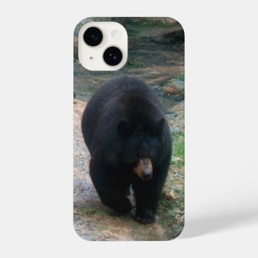 American Black Bear iPhone Case Hülle (Rückseite)