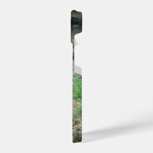 American Black Bear iPhone Case iPhone Hülle (Linke Seite)