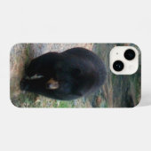 American Black Bear iPhone Case iPhone Hülle (Rückseite (Horizontal))