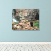 American Black Bear Leinwanddruck (Insitu (Holzboden))