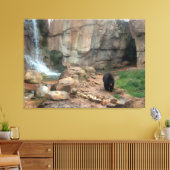 American Black Bear Leinwanddruck (Insitu (Wohnzimmer))