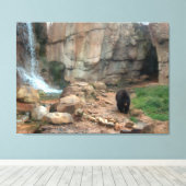 American Black Bear Leinwanddruck (Insitu (Holzboden))