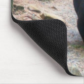 American Black Bear Mousepad (Ecke)