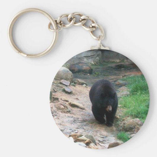 American Black Bear Schlüsselanhänger (Vorne)