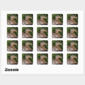 American Black Duck Sticker (Blatt)