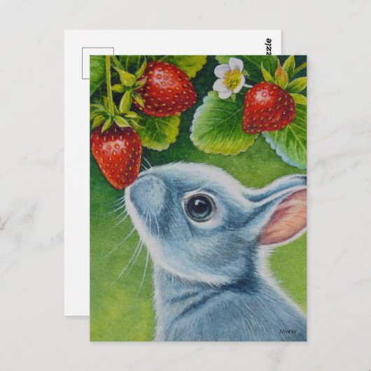 American Blue Rabbit & Strawberries Postkarte (Vorne/Hinten)