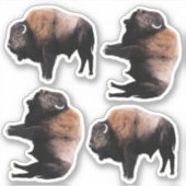 American Brown Buffalo Aufkleber (Vorderseite)