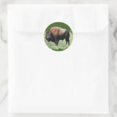American Brown Buffalo Stickers (Tasche)