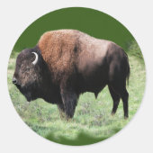 American Brown Buffalo Stickers (Vorderseite)