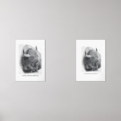 American Buffalo Bilderwand Sets (Vorderseite)