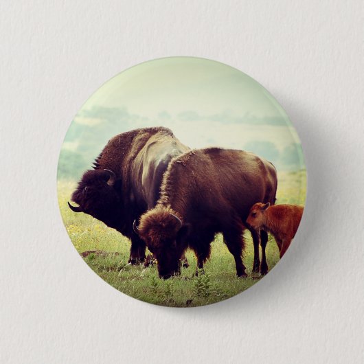 American Buffalo (Bison) Family Button (Vorderseite)