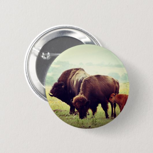 American Buffalo (Bison) Family Button (Vorne & Hinten)