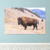 American Buffalo Bison Fotograf, Yellowstone Leinwanddruck (Insitu (Holzboden))