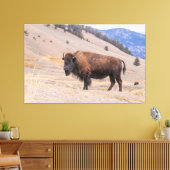 American Buffalo Bison Fotograf, Yellowstone Leinwanddruck (Insitu (Wohnzimmer))