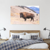 American Buffalo Bison Fotograf, Yellowstone Leinwanddruck (Insitu (Schlafzimmer))