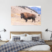 American Buffalo Bison Fotograf, Yellowstone Leinwanddruck (Insitu (Schlafzimmer))