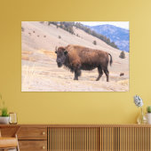 American Buffalo Bison Fotograf, Yellowstone Leinwanddruck (Insitu (Wohnzimmer))