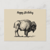 American Buffalo Bison Postkarte (Vorderseite)