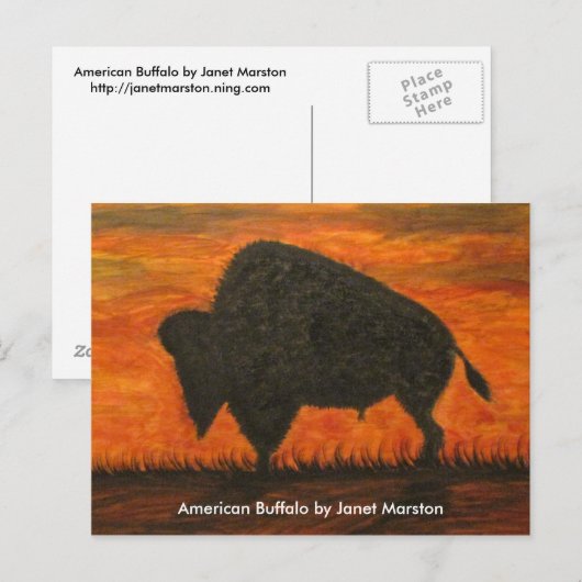 American Buffalo (Bison) Postkarte (Vorne/Hinten)