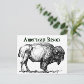 American Buffalo Bison Postkarte (Stehend Vorderseite)