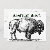 American Buffalo Bison Postkarte (Vorne/Hinten)