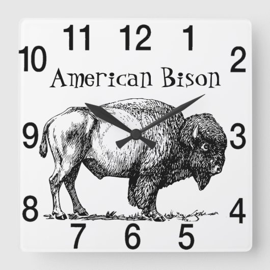 American Buffalo Bison Quadratische Wanduhr (Vorderseite)