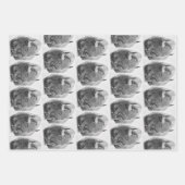 American Buffalo Geschenkpapier Set (Vorderseite)