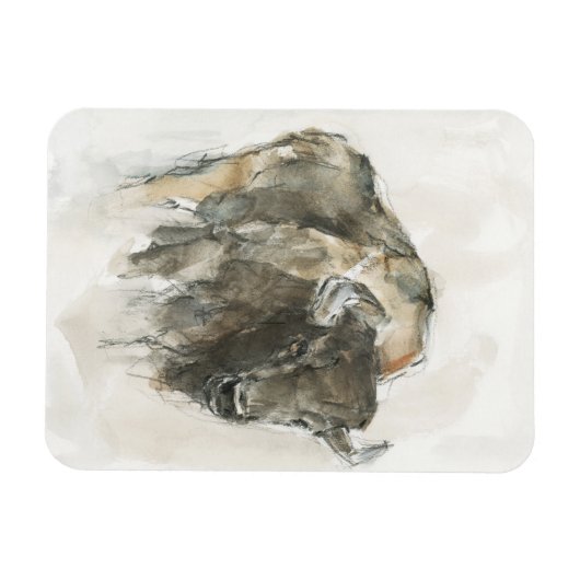 American Buffalo I Magnet (Horizontal)
