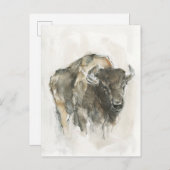 American Buffalo I Postkarte (Vorne/Hinten)
