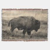 American Buffalo - Plains Bison Decke (Vorderseite)