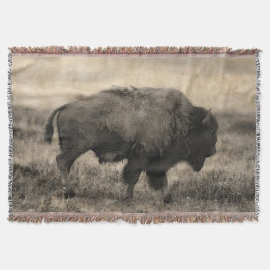 American Buffalo - Plains Bison Decke (Vorderseite)
