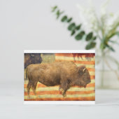 American Buffalo Postkarte (Stehend Vorderseite)