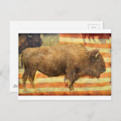 American Buffalo Postkarte (Vorne/Hinten)