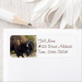 American Buffalo Return Address Label (Insitu)