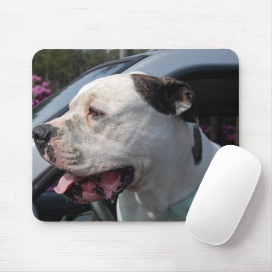 American Bull Dog Mousepad (Mit Mouse)