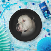 American Bull Dog Portrait Pappteller (Party)