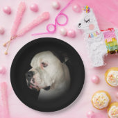 American Bull Dog Portrait Pappteller (Party)