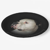 American Bull Dog Portrait Pappteller (Schrägansicht)