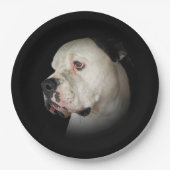 American Bull Dog Portrait Pappteller (Vorderseite)