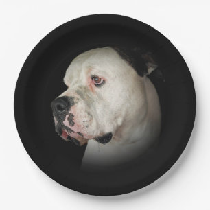 American Bull Dog Portrait Pappteller