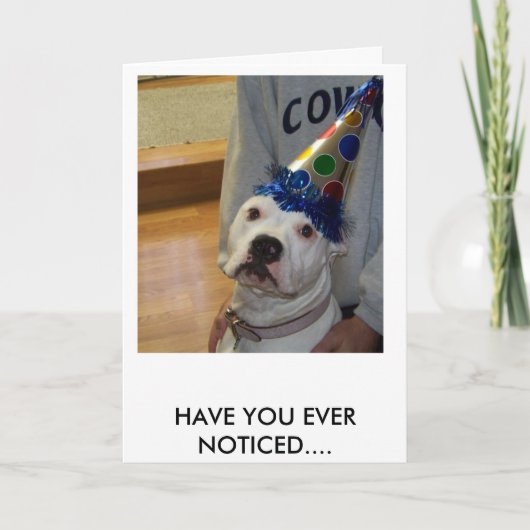 American Bulldog Birthday Karte (Vorderseite)