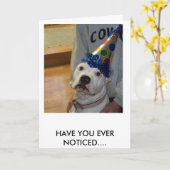 American Bulldog Birthday Karte (Gelbe Blume)