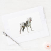 American Bulldog - Brown-White Rechteckiger Aufkleber (Umschlag)