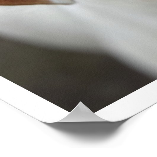 American Bulldog Face Poster (Ecke)