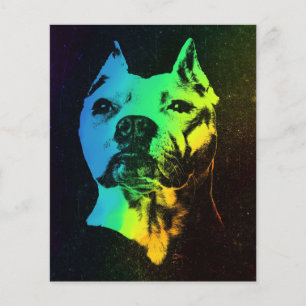 American Bulldog farbiges Geschenk Flyer