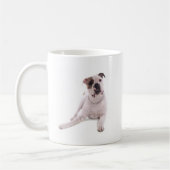 American Bulldog Kaffeetasse (Links)