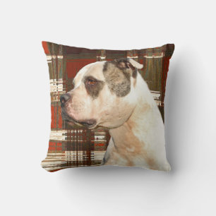 American Bulldog Kariert Pillow Kissen