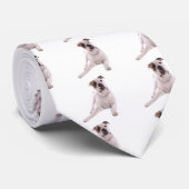 American Bulldog Krawatte (Gerollt)